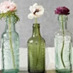 Meet your Posher, Rainee